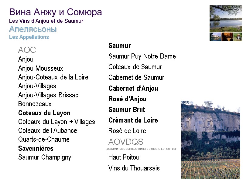 37 Вина Анжу и Сомюра Les Vins d’Anjou et de Saumur Апелясьоны Les Appellations